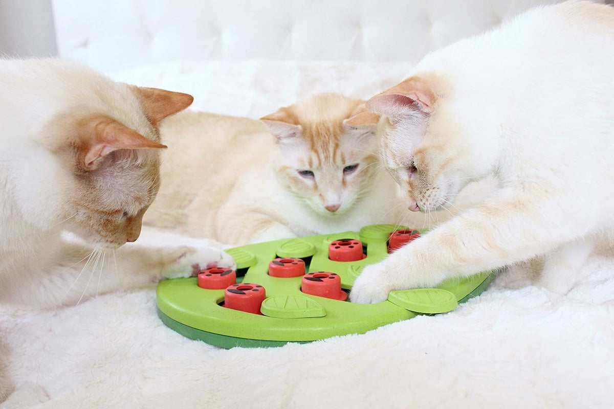 Interactive Cat Treat Puzzle