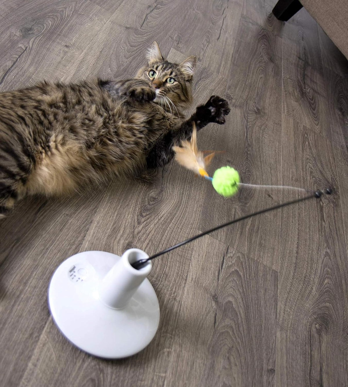 Electronic Motion Wand Cat Toy, Battery Powered - Gray/Green, One Size