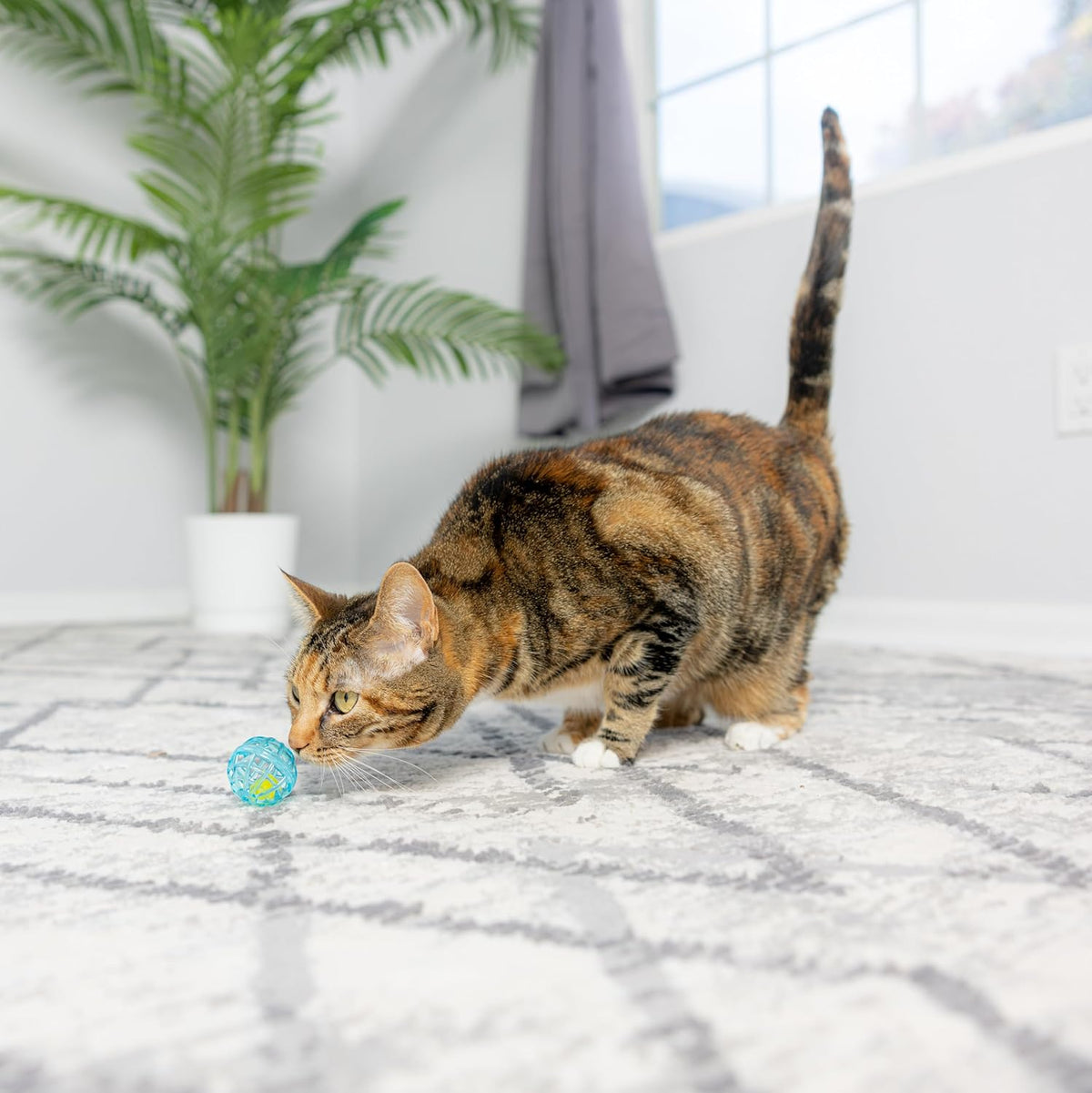 Lattice Balls Cat Toys - Durable, Fun Balls with Bells Perfect for Swatting and Batting, Colorful Toys to Entertain Indoor Cats and Kittens, 1.5 inch, 4 pcs