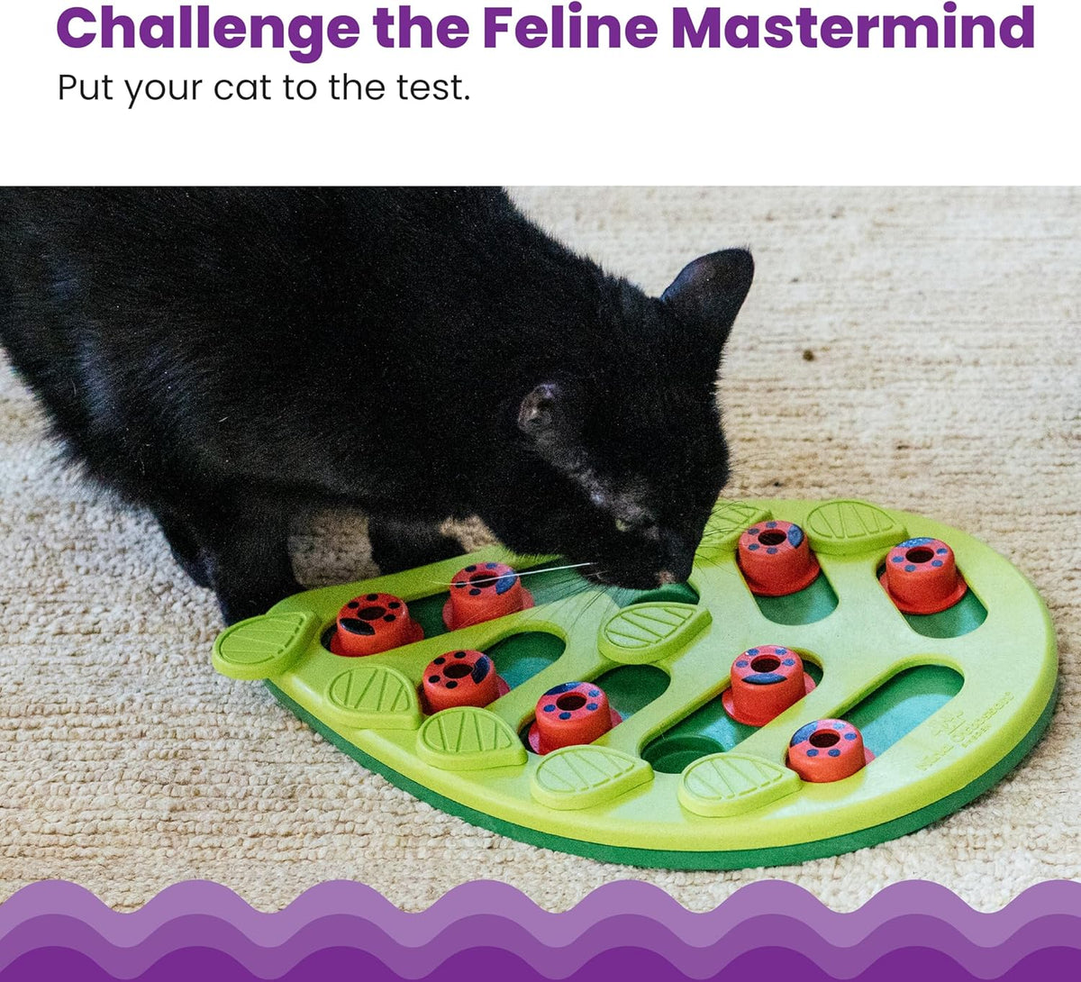 Interactive Cat Treat Puzzle