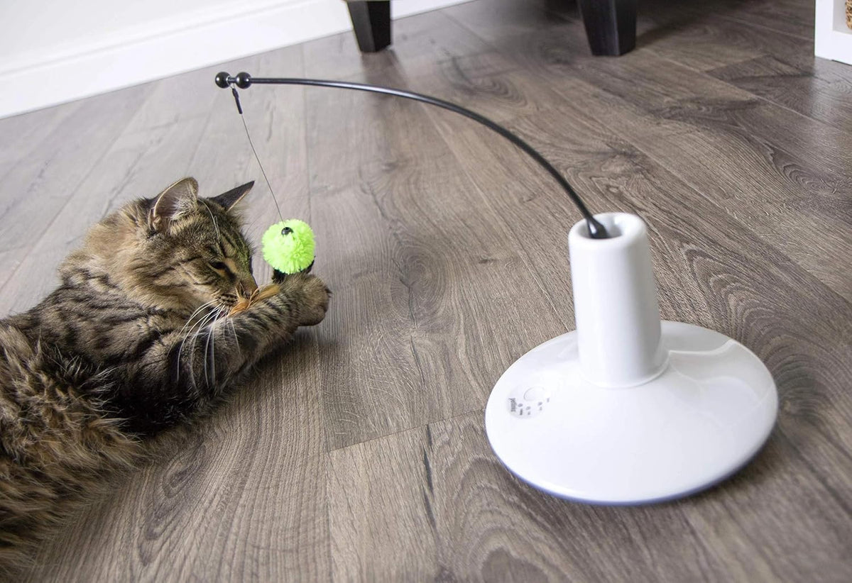 Electronic Motion Wand Cat Toy, Battery Powered - Gray/Green, One Size