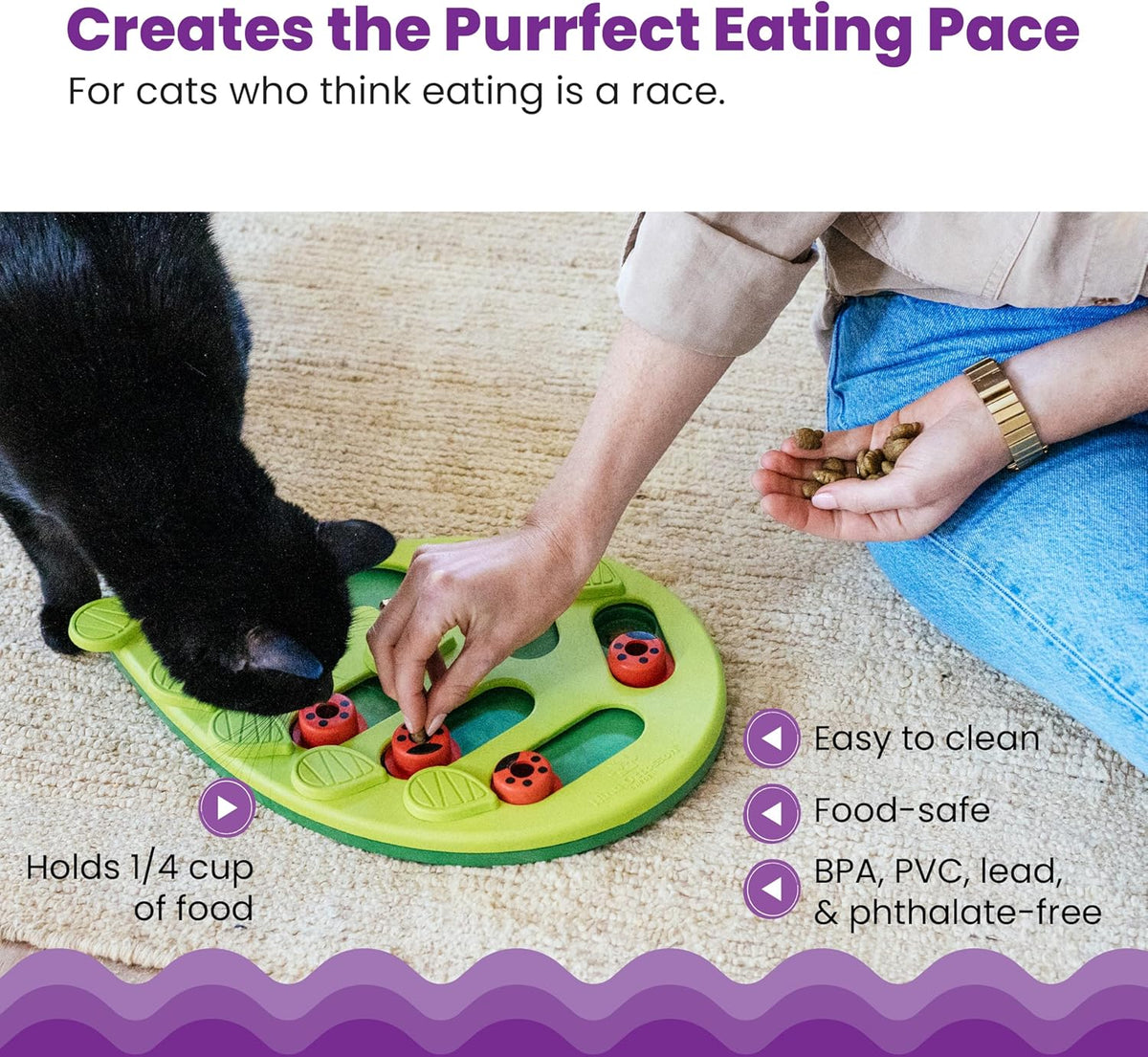 Interactive Cat Treat Puzzle
