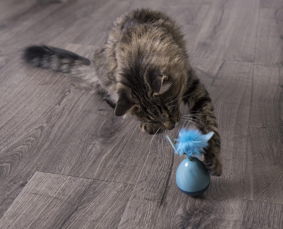 Spinning Electronic Motion Cat Toy, Battery Powered - Blue, One Size