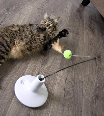 Electronic Motion Wand Cat Toy, Battery Powered - Gray/Green, One Size