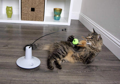 Electronic Motion Wand Cat Toy, Battery Powered - Gray/Green, One Size