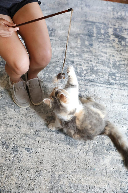 Teathered &amp; Feathered Play Wand Cat Toy, for All Breed Sizes