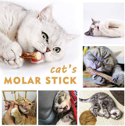 31 PCS Cat Toys Kitten Toys Assortments,Variety Catnip Toy Set Including 2 Way Tunnel,Cat Feather,Catnip Fish,Mice,Colorful Balls and Bells for Cat,Puppy,Kitty
