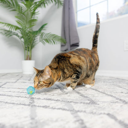 Lattice Balls Cat Toys - Durable, Fun Balls with Bells Perfect for Swatting and Batting, Colorful Toys to Entertain Indoor Cats and Kittens, 1.5 inch, 4 pcs