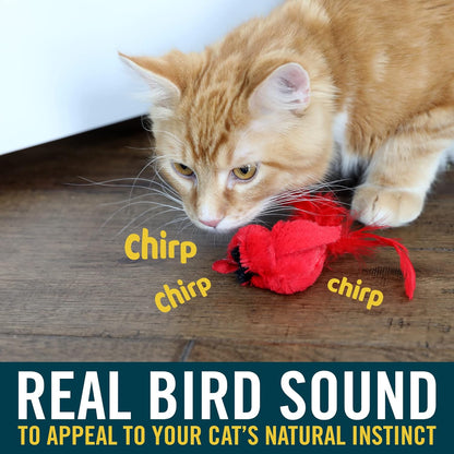 Real Birds Interactive Cat Toys with Catnip (Cat Toys for Indoor Cats, Catnip Toys, Catnip Toys for Cats with Bird  Electronic Sound and Feather)